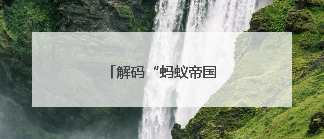 解码“蚂蚁帝国”的亿年文明