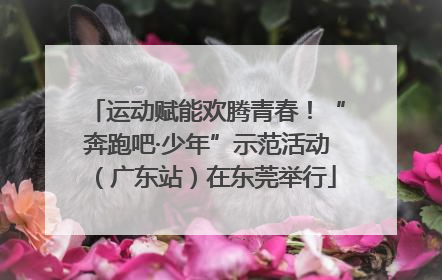 运动赋能欢腾青春！“奔跑吧·少年”示范活动（广东站）在东莞举行