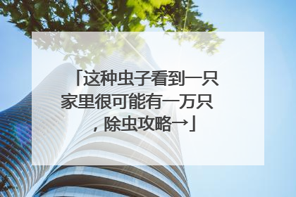 这种虫子看到一只家里很可能有一万只，除虫攻略→