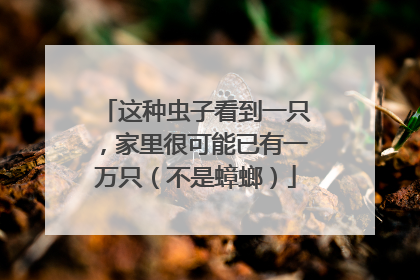 这种虫子看到一只，家里很可能已有一万只（不是蟑螂）