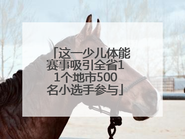 这一少儿体能赛事吸引全省11个地市500名小选手参与
