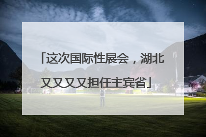 这次国际性展会，湖北又又又又担任主宾省