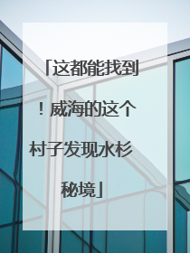 这都能找到！威海的这个村子发现水杉秘境