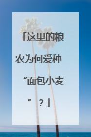 这里的粮农为何爱种“面包小麦”？
