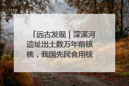 远古发现｜濛溪河遗址出土数万年前核桃，我国先民食用核桃历史大幅提前