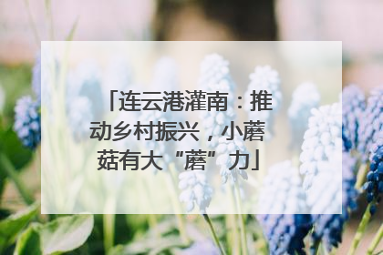 连云港灌南：推动乡村振兴，小蘑菇有大“蘑”力