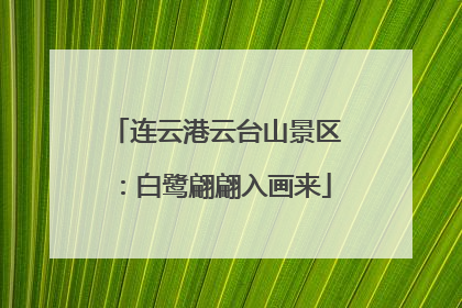 连云港云台山景区：白鹭翩翩入画来