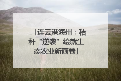 连云港海州：秸秆“逆袭”绘就生态农业新画卷