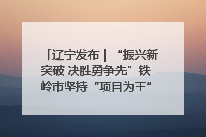 辽宁发布｜“振兴新突破 决胜勇争先”铁岭市坚持“项目为王”推进经济高质量发展
