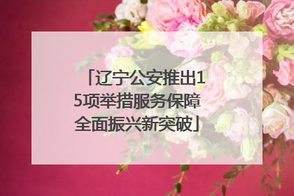辽宁公安推出15项举措服务保障全面振兴新突破