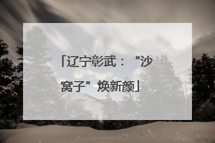 辽宁彰武：“沙窝子”焕新颜