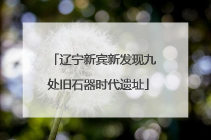 辽宁新宾新发现九处旧石器时代遗址