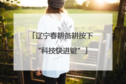 辽宁春耕备耕按下“科技快进键”