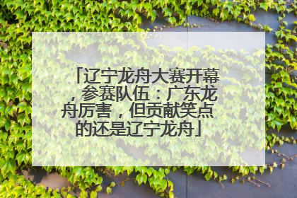 辽宁龙舟大赛开幕，参赛队伍：广东龙舟厉害，但贡献笑点的还是辽宁龙舟