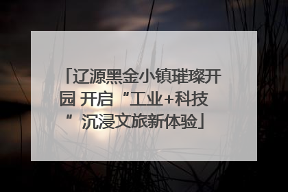 辽源黑金小镇璀璨开园 开启“工业+科技”沉浸文旅新体验