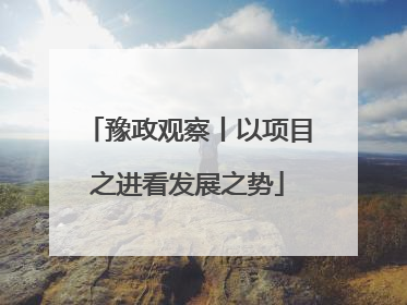 豫政观察丨以项目之进看发展之势