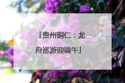 贵州铜仁：龙舟巡游迎端午