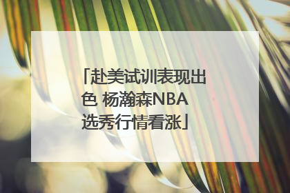 赴美试训表现出色 杨瀚森NBA选秀行情看涨