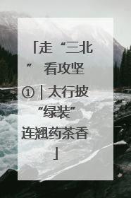 走“三北” 看攻坚①｜太行披“绿装” 连翘药茶香
