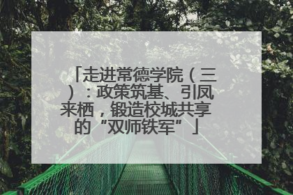 走进常德学院（三）：政策筑基、引凤来栖，锻造校城共享的“双师铁军”