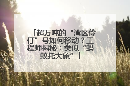 超万吨的“湾区伶仃”号如何移动？工程师揭秘：类似“蚂蚁托大象”