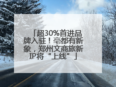 超30%首进品牌入驻！亳都有新象，郑州文商旅新IP将“上线”