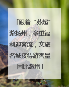 跟着“苏超”游扬州，多重福利迎客流，文旅名城接待游客量同比激增