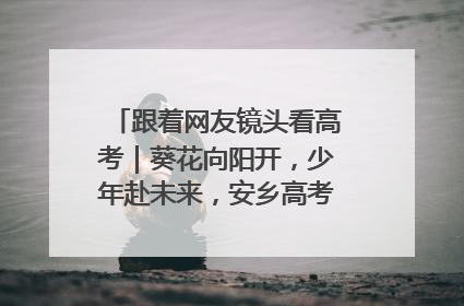 跟着网友镜头看高考｜葵花向阳开，少年赴未来，安乡高考首日的希望图景