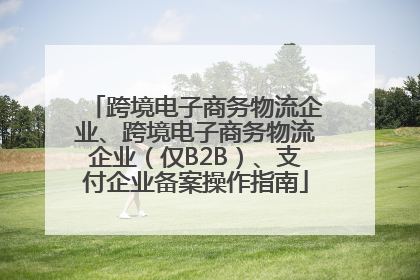 跨境电子商务物流企业、跨境电子商务物流企业（仅B2B）、支付企业备案操作指南
