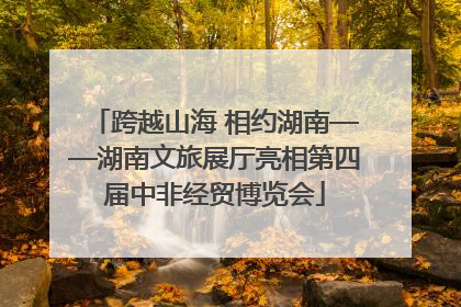 跨越山海 相约湖南——湖南文旅展厅亮相第四届中非经贸博览会