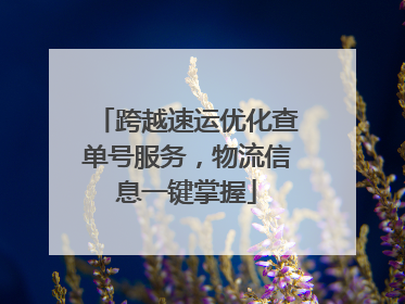 跨越速运优化查单号服务，物流信息一键掌握