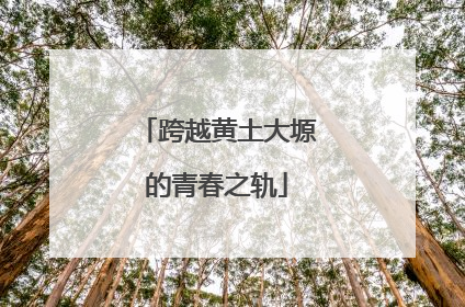 跨越黄土大塬的青春之轨