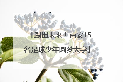踢出未来！南安15名足球少年圆梦大学
