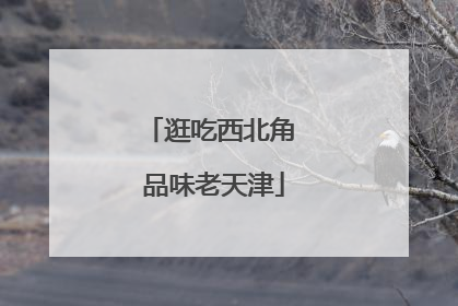 逛吃西北角 品味老天津