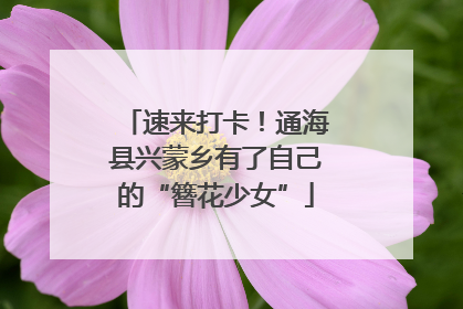 速来打卡！通海县兴蒙乡有了自己的“簪花少女”