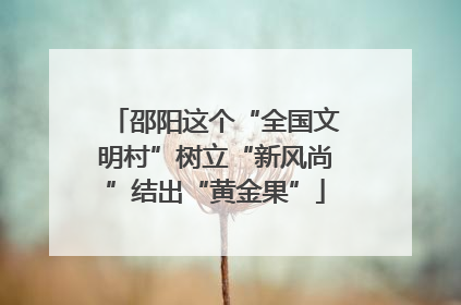 邵阳这个“全国文明村”树立“新风尚”结出“黄金果”