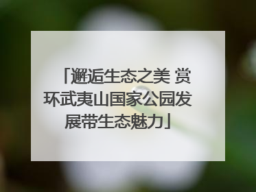 邂逅生态之美 赏环武夷山国家公园发展带生态魅力