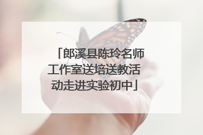 郎溪县陈玲名师工作室送培送教活动走进实验初中