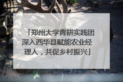 郑州大学青耕实践团深入西华县赋能农业经理人，共促乡村振兴