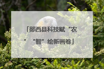 郧西县科技赋“农”“智”绘新画卷