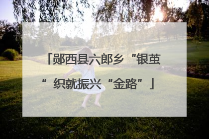 郧西县六郎乡“银茧”织就振兴“金路”