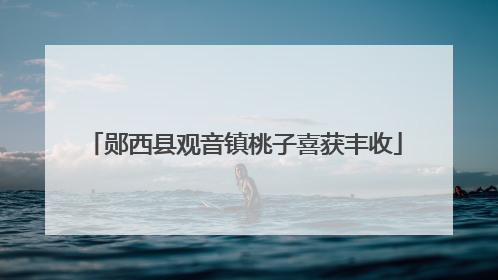 郧西县观音镇桃子喜获丰收