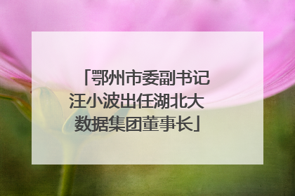 鄂州市委副书记汪小波出任湖北大数据集团董事长