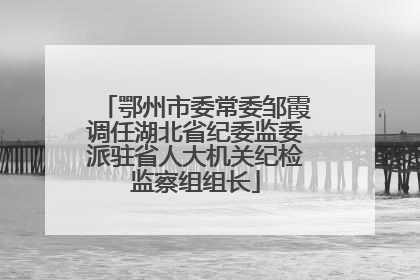鄂州市委常委邹霞调任湖北省纪委监委派驻省人大机关纪检监察组组长