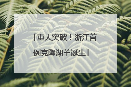 重大突破！浙江首例克隆湖羊诞生