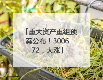 重大资产重组预案公布！300672，大涨