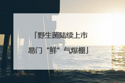 野生菌陆续上市 易门“鲜”气爆棚
