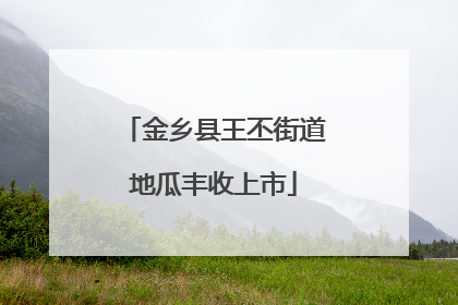 金乡县王丕街道地瓜丰收上市