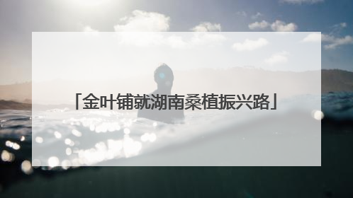 金叶铺就湖南桑植振兴路