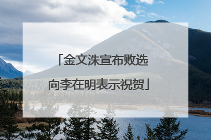 金文洙宣布败选 向李在明表示祝贺